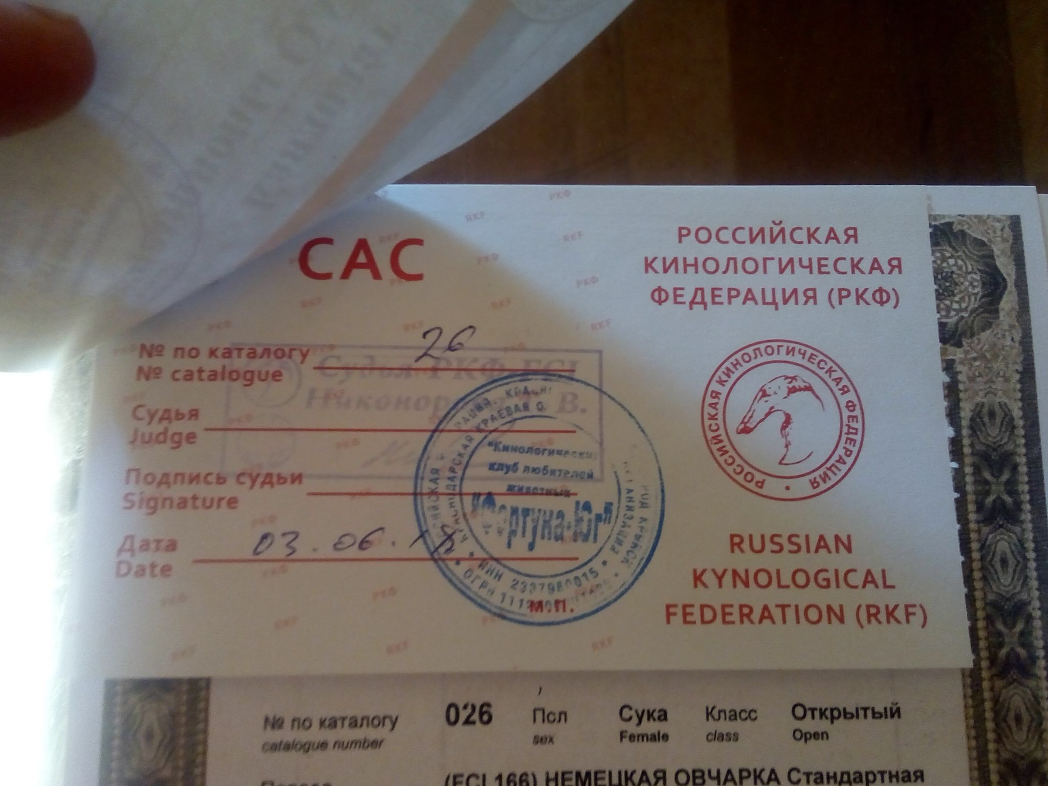 CAC 03.06.18г. Крымск.jpg